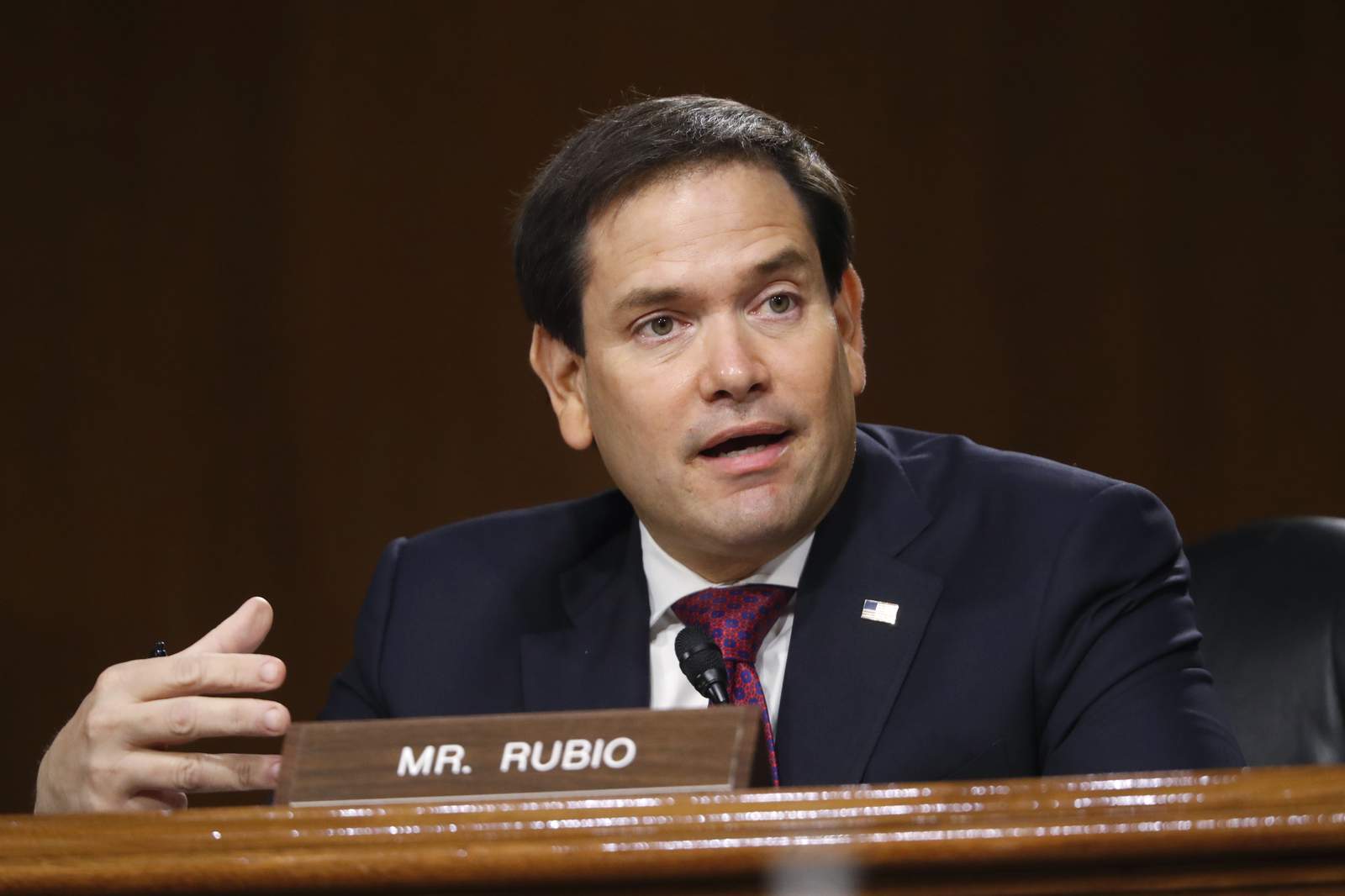 Florida Sen. Rubio named acting chair of intelligence panel