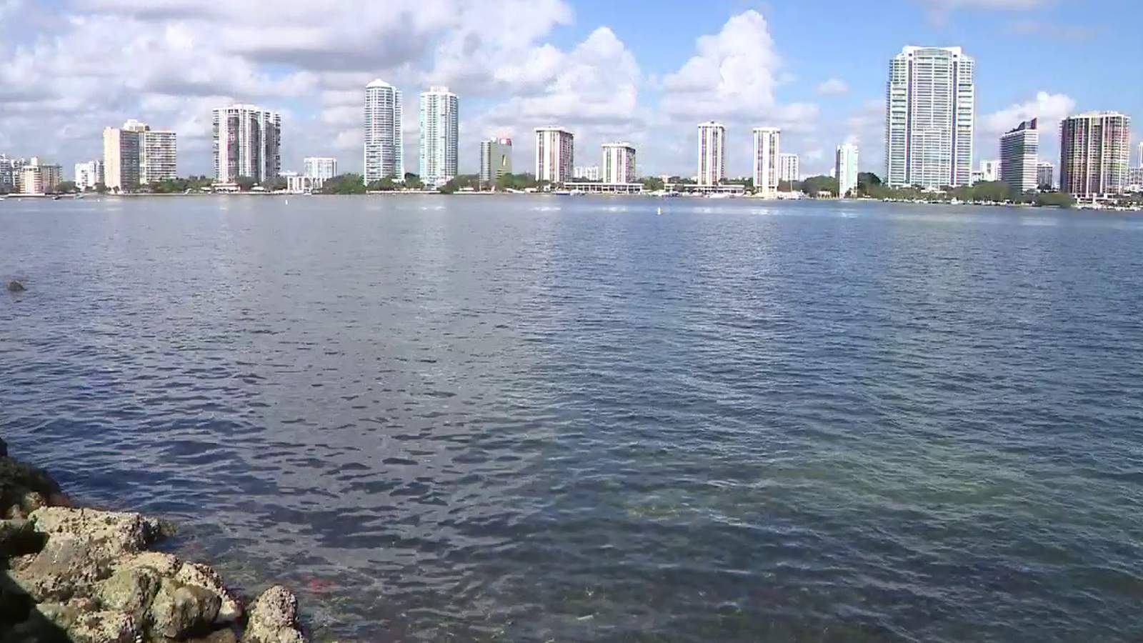 Is Miami’s beach water filled with poop? Volunteer testing says yes