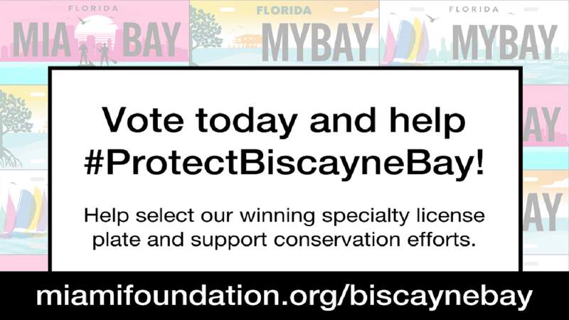 Help conservation efforts by voting for your favorite #ProtectBiscayneBay license plate design