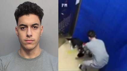Man Accused Of Abusing Husky In Elevator Of Brickell Apartment Building