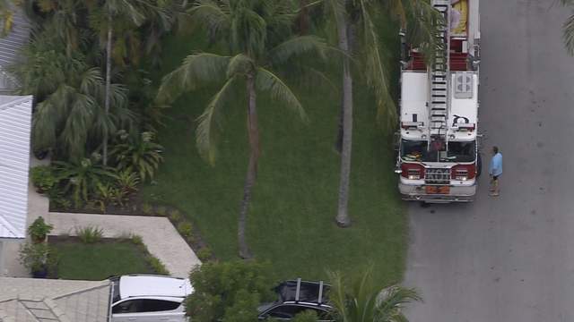 Landscaping worker shocked by power line in Key Biscayne, authorities say