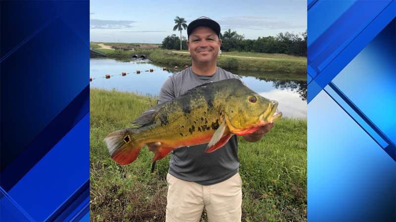 Hialeah man sets new state record for butterfly peacock bass