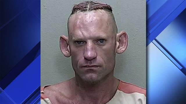 Florida Man S Mugshot Hits Viral Status After Arrest