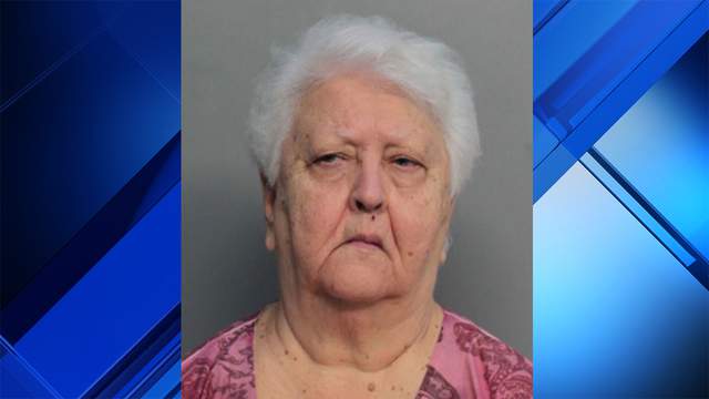 74 Year Old Woman Sentenced To 2 Years House Arrest For Voter Fraud
