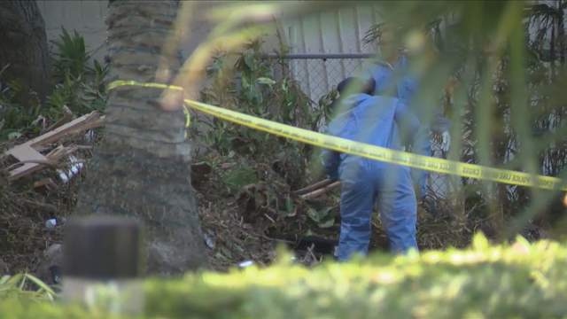 Cleanup Crew Finds Body Under Seaweed In Boat In Coconut Grove
