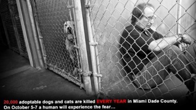 Animal Activist Spends Weekend In A Cage At Miami Dade Animal Services