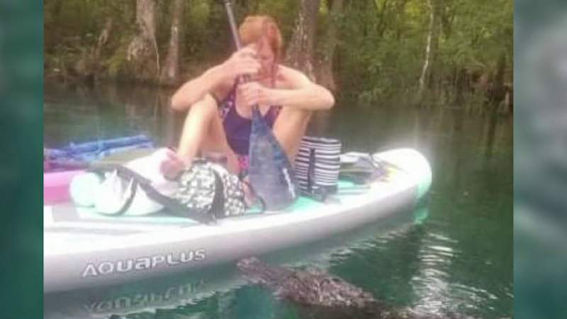 Video shows alligator near woman’s paddleboard in Florida springs