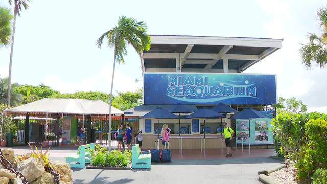 Mexican theme park group purchases the Miami Seaquarium