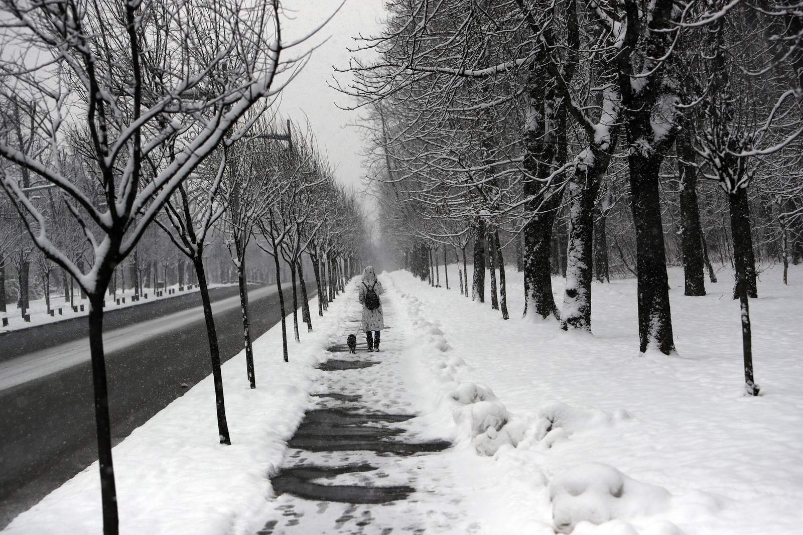 Tormenta invernal causa estragos en Europa