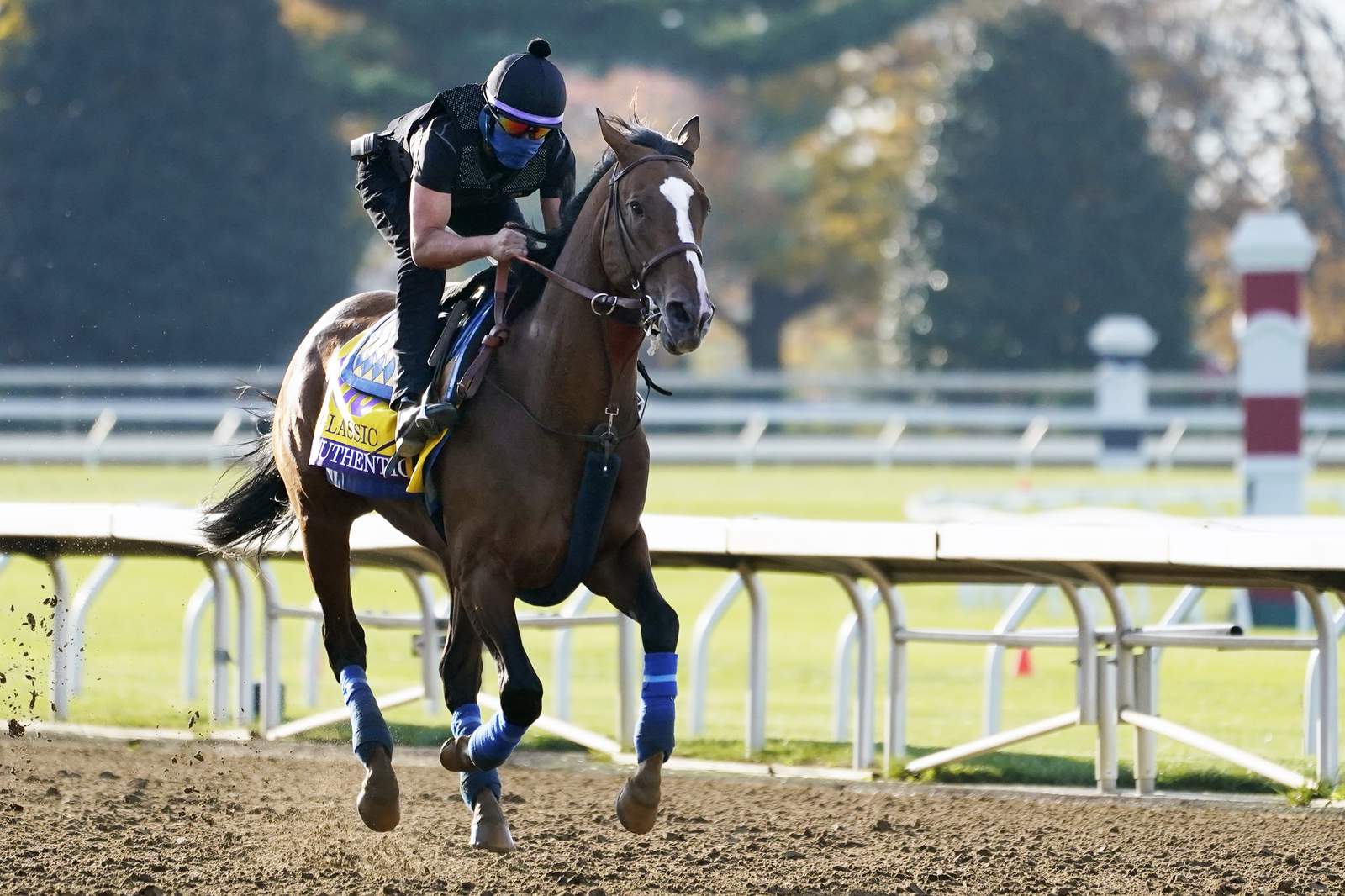 In an abnormal year, Breeders' Cup offers a bit of normalcy