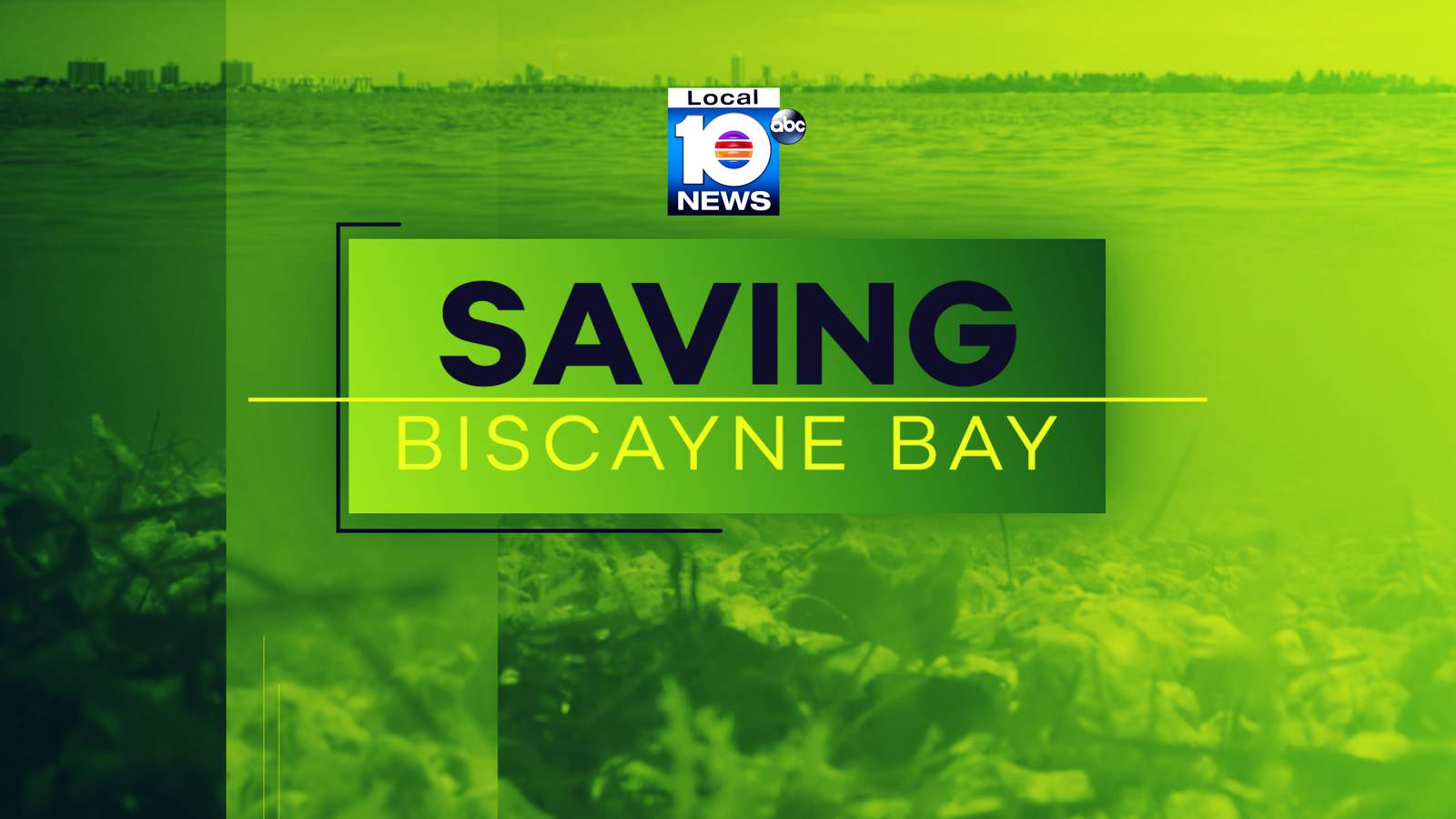 REPLAY: ’Saving Biscayne Bay’ special plus Q&A with Louis Aguirre and FIU experts