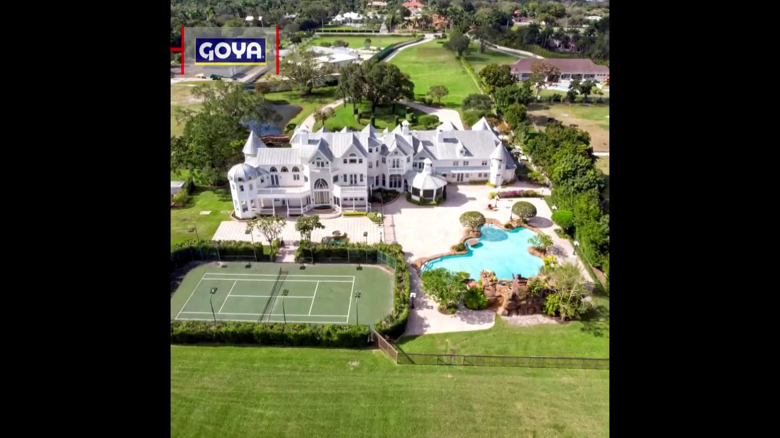 One of the biggest and luxurious properties in Broward County goes up for auction