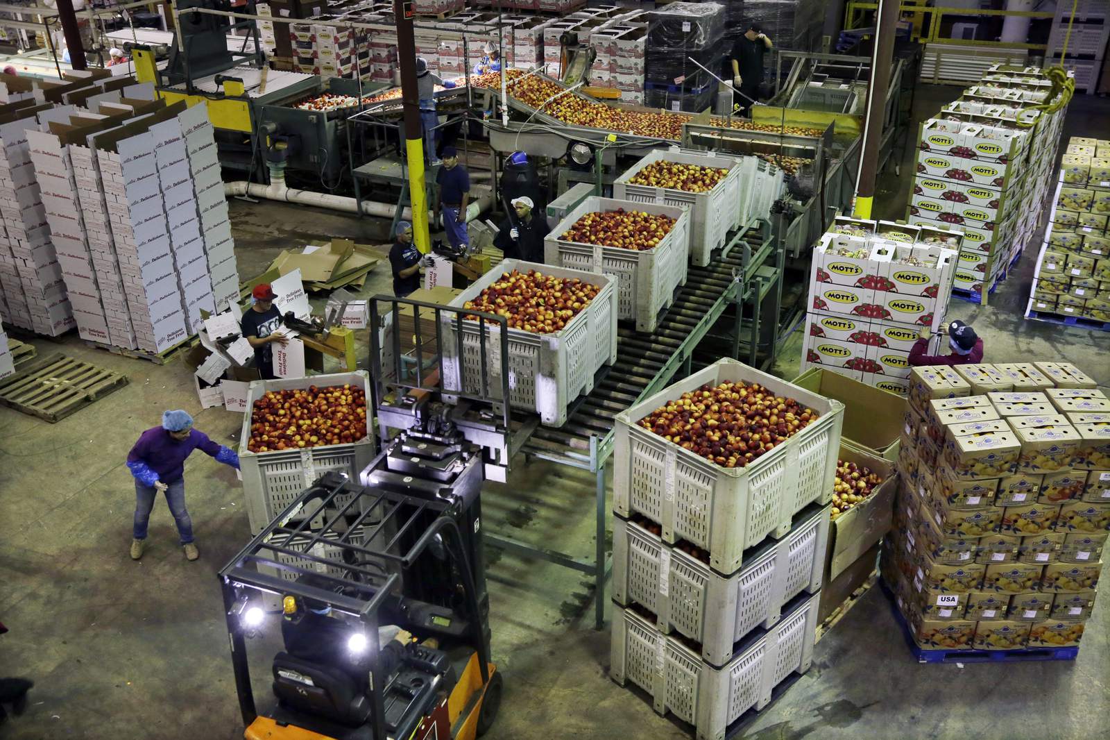 US wholesale prices fell 0.2% in June as food costs plunged