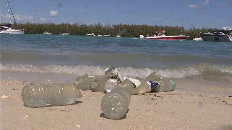 ‘We have to do better’: Litter is killing beloved Biscayne Bay