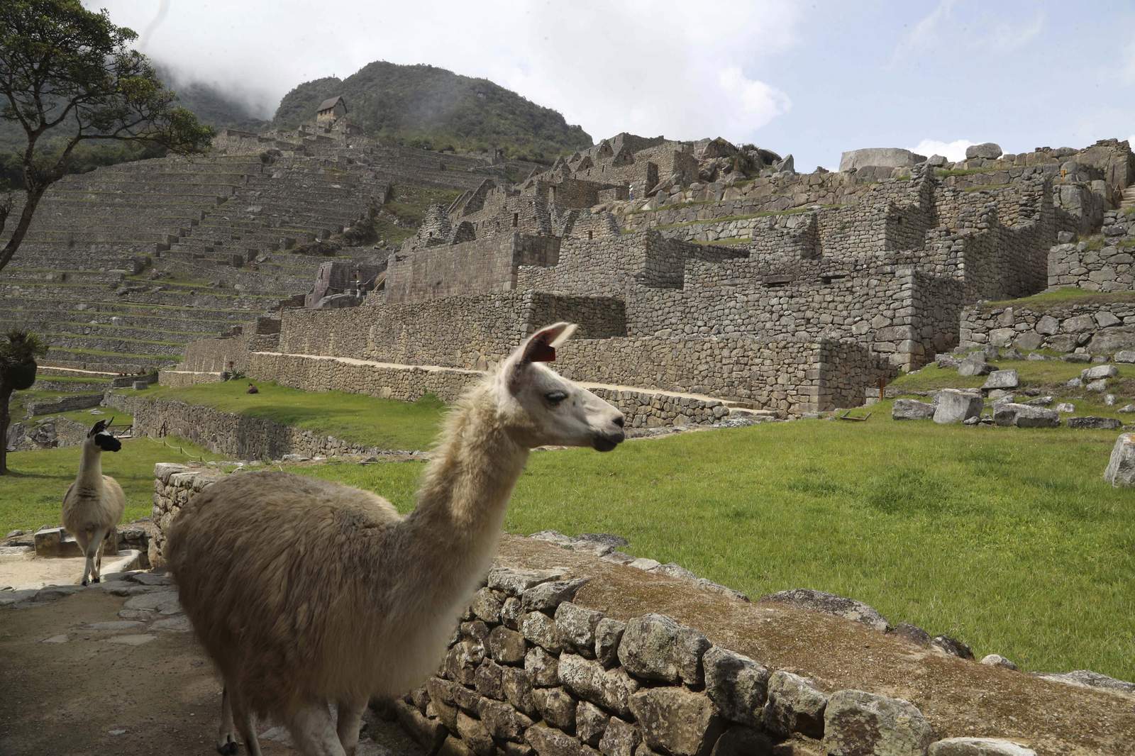 Tras 7 meses en silencio, Machu Picchu reabre al turismo