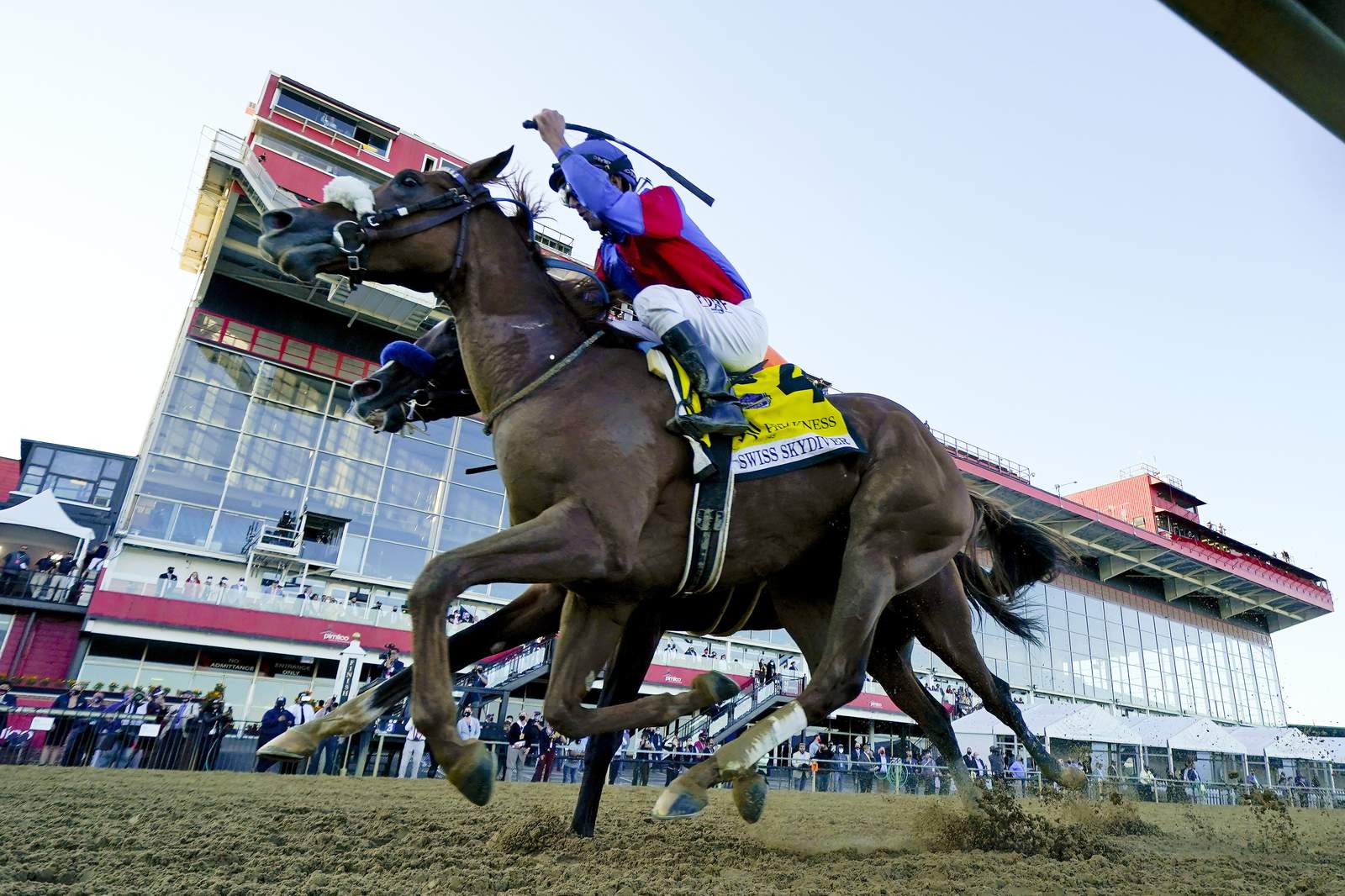Winning filly: Swiss Skydiver beats Authentic in Preakness