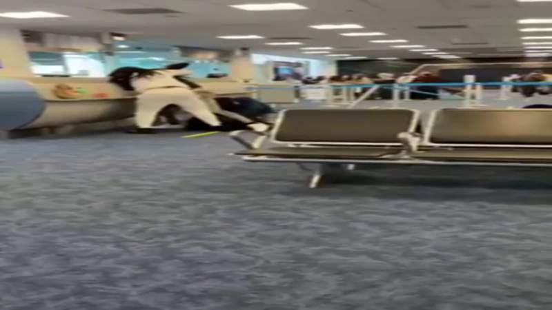 Captado por la cámara: Pelea a puñetazos en el Aeropuerto Internacional de Miami, Puerta D14