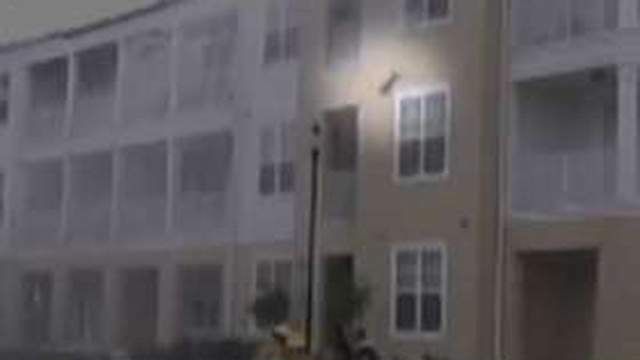 Cat Survives Building Fire After Jumping Off Third Floor