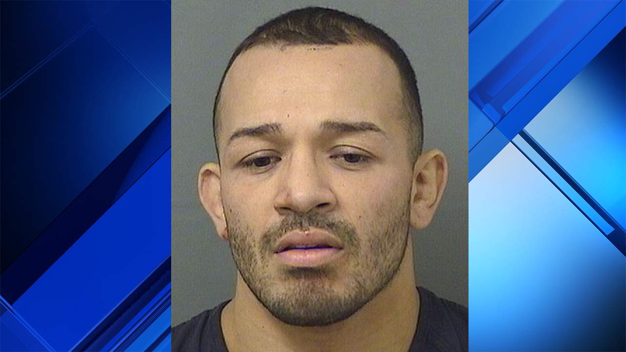 UFC fighter accused of stabbing his 2 sisters in South Florida
