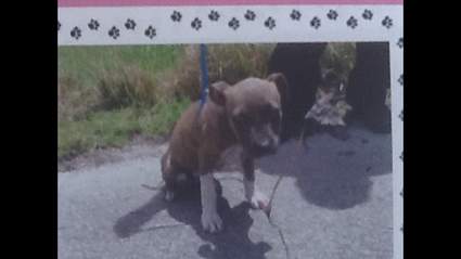 severe penalties in miami dade county
