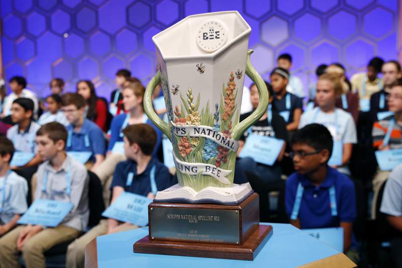 National Spelling Bee stalwarts persevere through 2-year gap