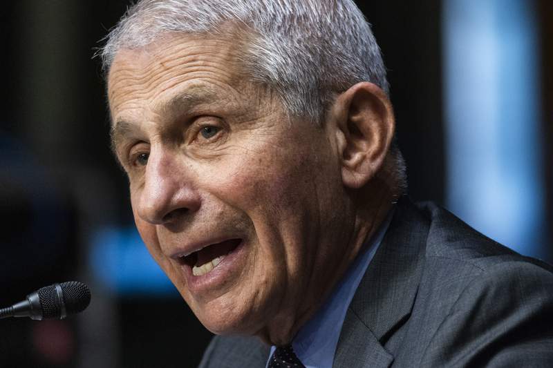 Fauci says pandemic exposed 'undeniable effects of racism'