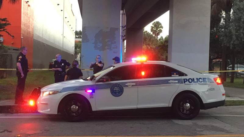 Wplg Local 10 Miami News Fort Lauderdale News Weather