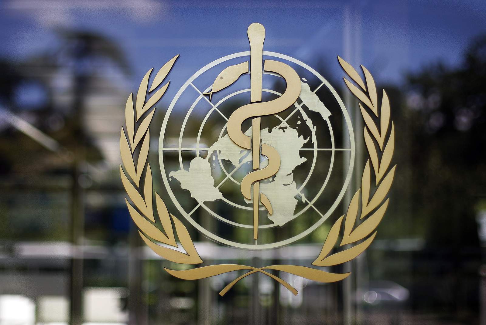 Members named to panel probing WHO's pandemic response