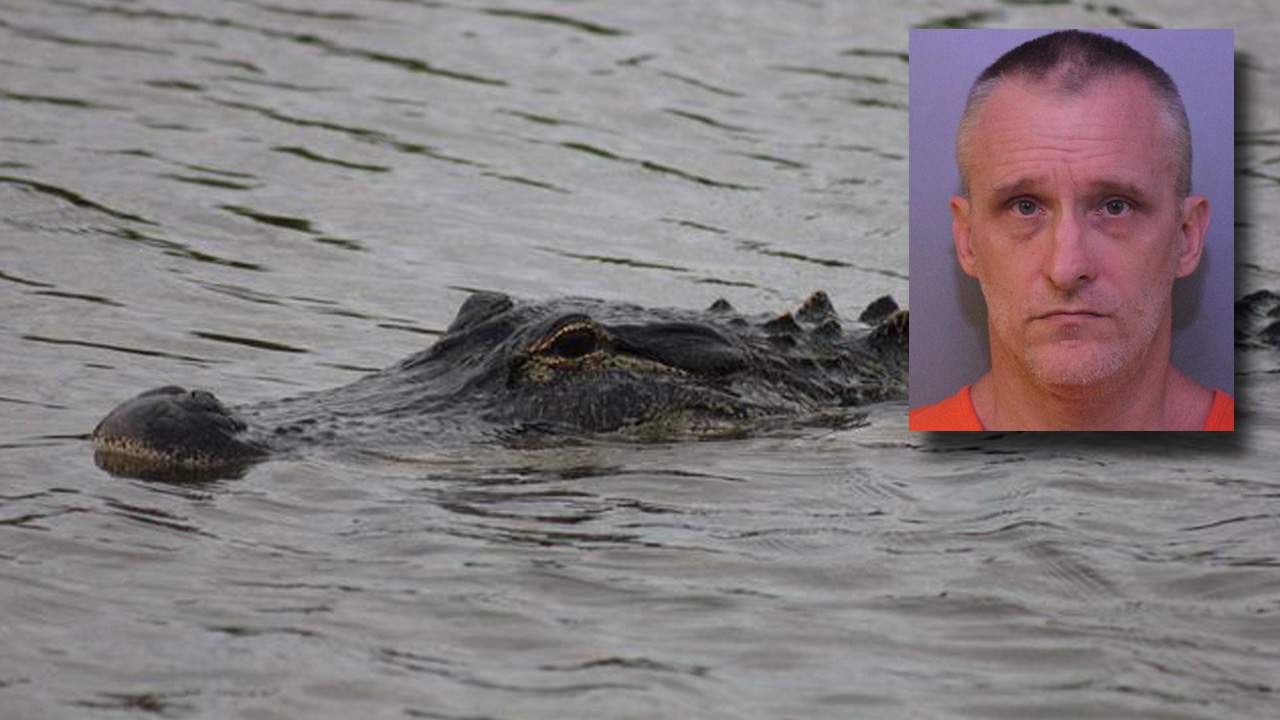 Florida Man Found Partially Eaten By Alligator Died From Meth Overdose