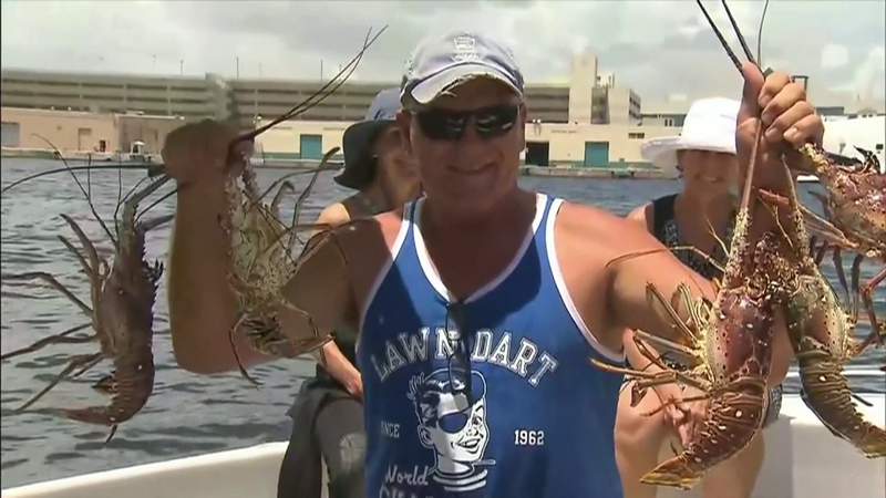 Florida Keys get set for 2-day lobster mini season