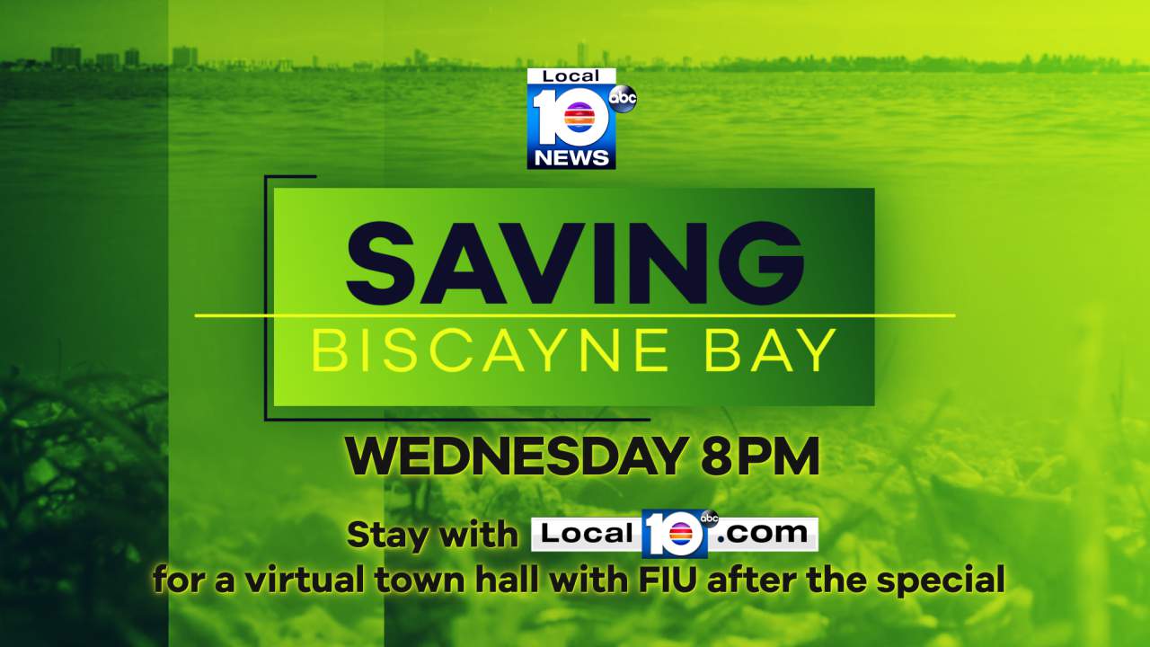 ‘Saving Biscayne Bay’: Tune into our special tonight at 8 p.m.