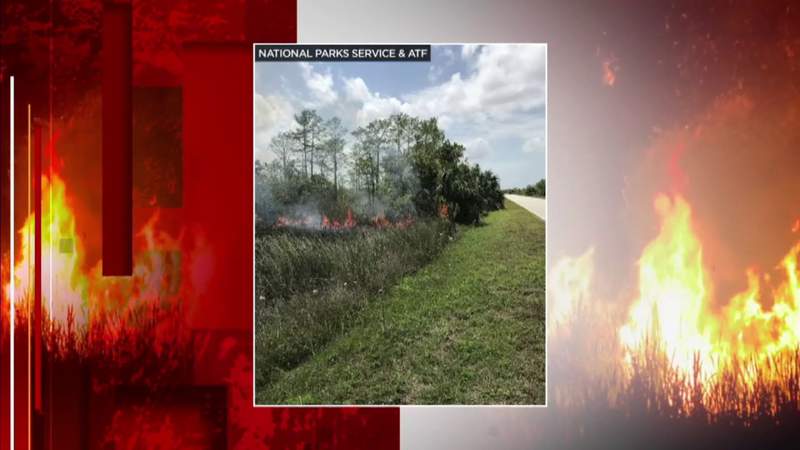 Investigators search for arsonist after 11 suspicious fires at Everglades National Park