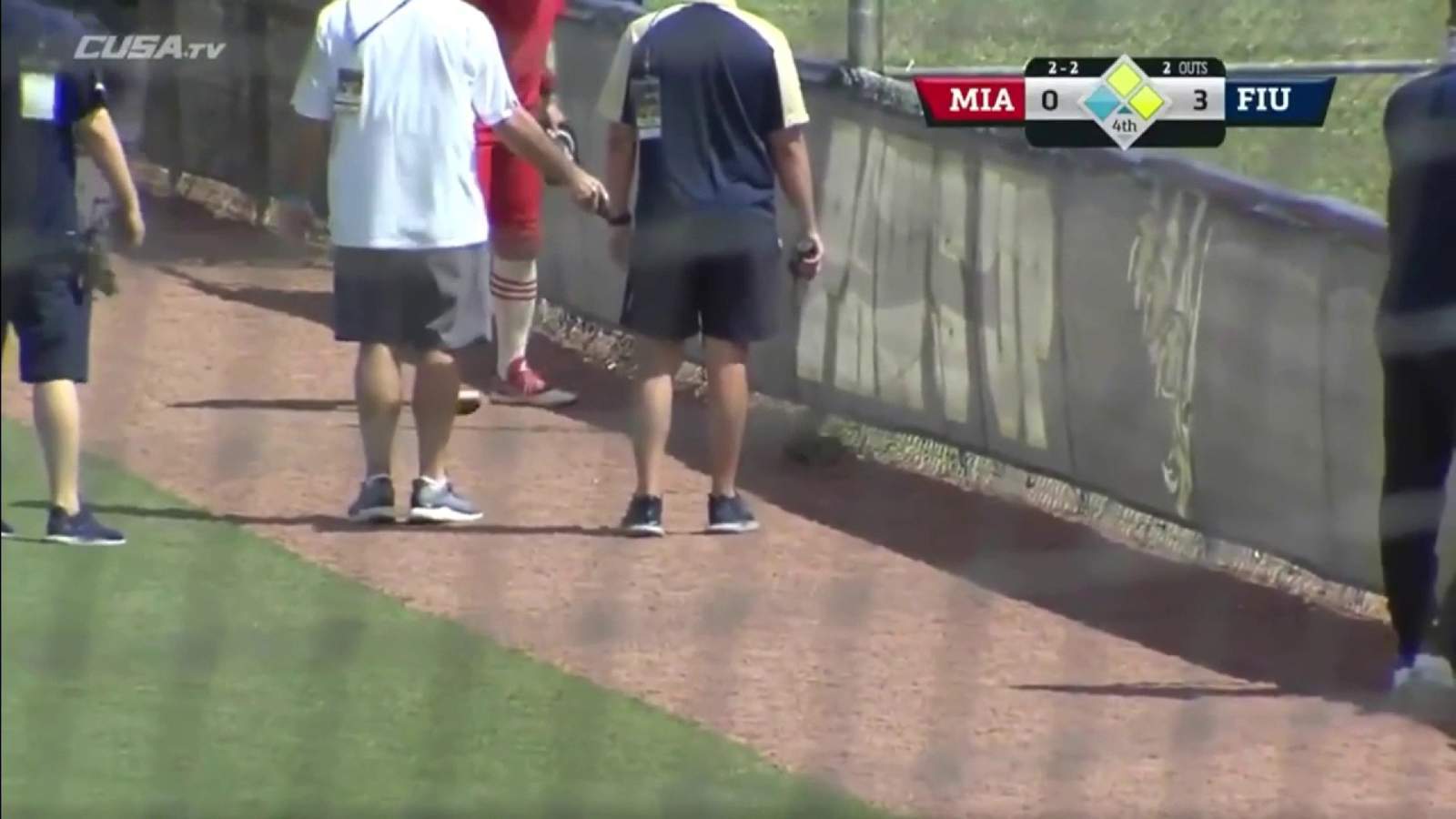 Iguana on the field interrupts FIU baseball game