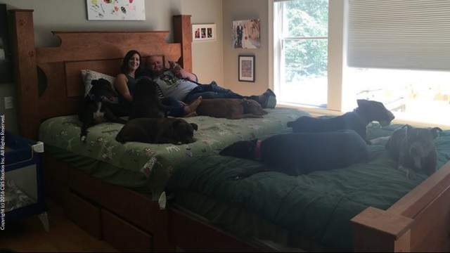 Couple Built 14 Foot Long Bed So They Could Sleep Comfortably With