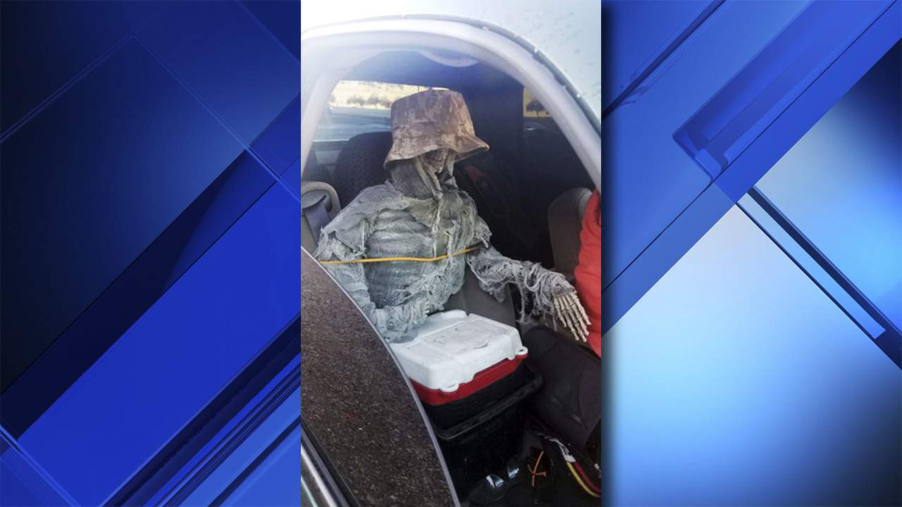 Man cited for using fake skeleton to drive in HOV lane