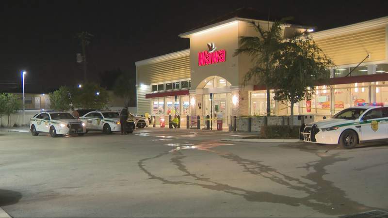 Man carjacked at gunpoint at Wawa gas station
