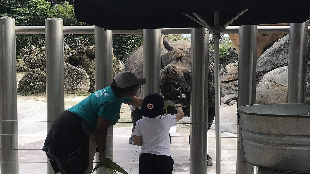 Zoo Miami to reopen early to pass holders with extra safety precautions in place
