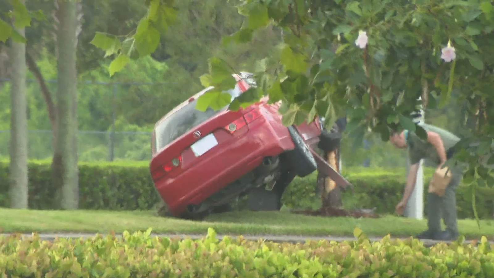 Police in Pompano Beach investigating car found propped up against palm tree