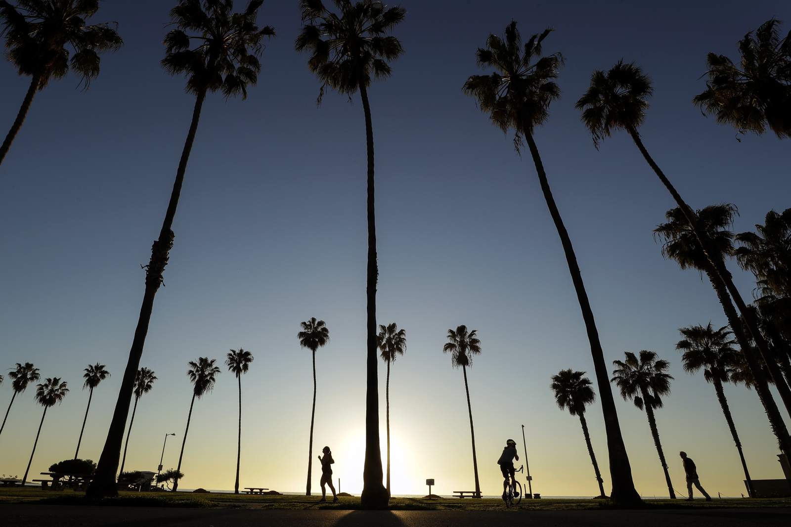 Gloomy Summer Looms As Pandemic Cancels Us Festivals Trips