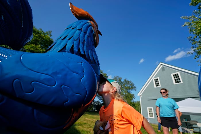 Giant metal roosters spread autism acceptance in Maine after town zoning spat