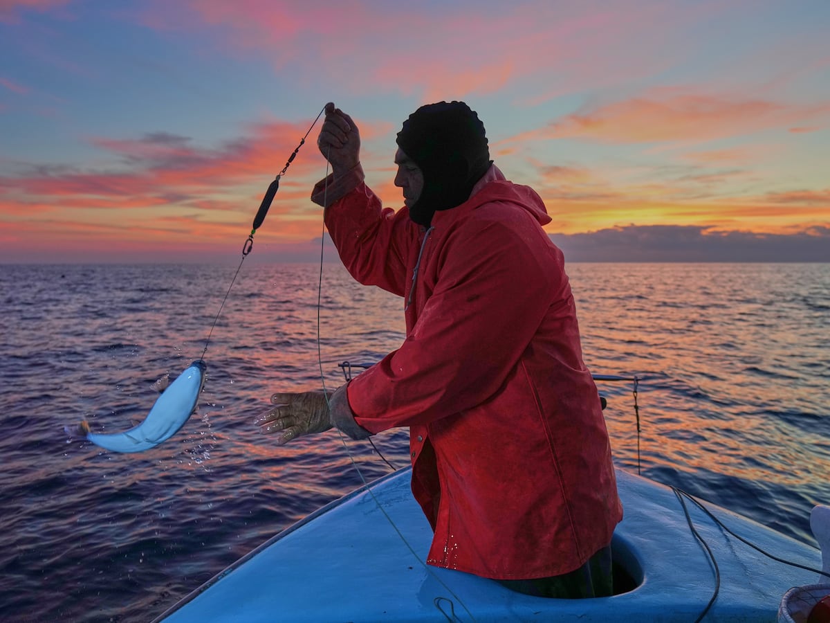 Image linked from the original feed: Las aguas cada vez más cálidas del Mediterráneo atraen a cientos de especies invasoras