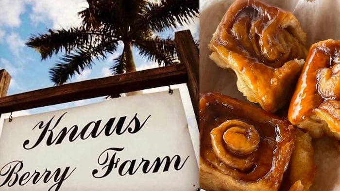 Knaus Berry Farm to reopen in Miami under new ownership with longtime family involvement