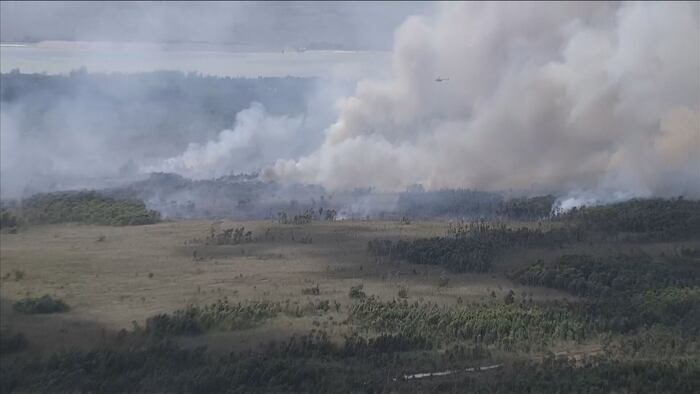 VIDEO: Brush fire burns in west Miami-Dade