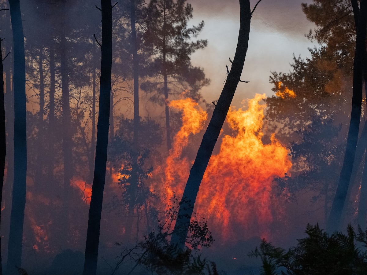 Image linked from the original feed: Wildfires near Madrid and in southwestern France force tens of thousands to evacuate