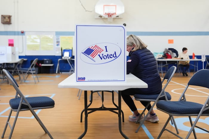 Virginia voters deciding on redistricting plan that could boost Democrats' seats in Congress