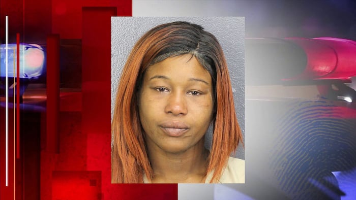 DCF investigated mother for child neglect before boy died of fentanyl ...