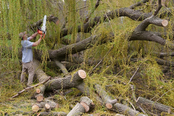 Jim Harbors Removes Fallen Trees in Deforest, Wisconsin