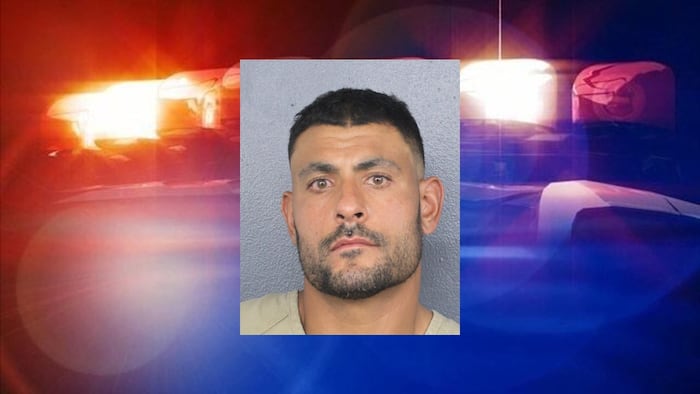 Miami Dolphins outside linebackers coach arrested on domestic battery charge