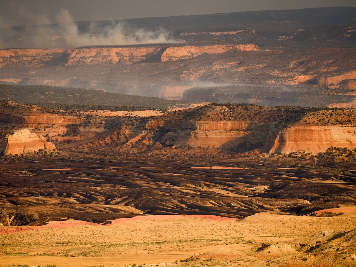 Image linked from the original feed: 4th firefighter dies from burn injuries in western Colorado blaze