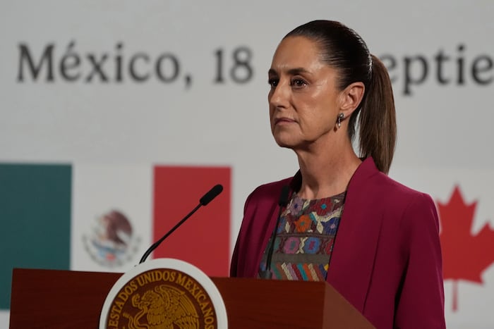 México reforma la ley de amparo: ¿se protegerán más los derechos humanos? – WPLG Local 10